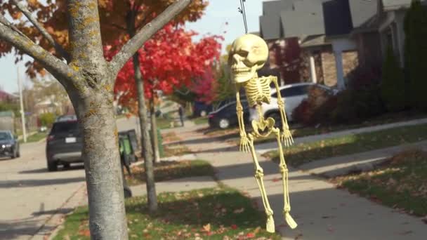 Halloween Acerca Gente Colgado Pequeños Esqueletos Plástico Árbol — Vídeo de stock