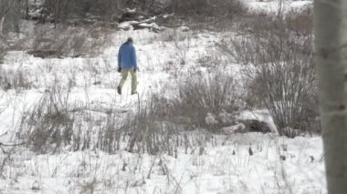 Ekim, bir çift siyah başlı Kanada kazları şehir göletinde dinleniyor. 