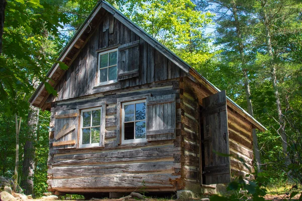 Een Oud Maar Nog Steeds Sterk Huis Het Bos Tussen — Stockfoto