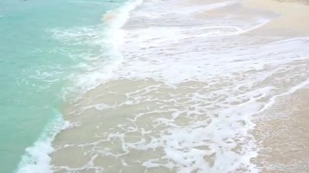 Karaiby Ciepłe Fale Rozbijają Się Piaszczystej Plaży Domenica — Wideo stockowe