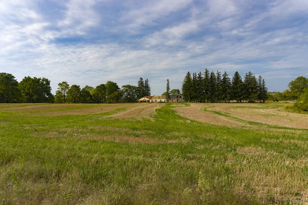 在一片广阔的田野的边缘 在一条防护林带之下 一座新农舍正在建造之中 — 图库照片