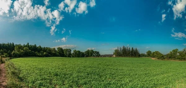 Panorama of a farm under a forest and a house on the edge of a green field