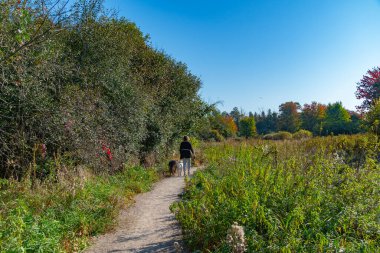 Bir kadın sabah yürüyüşü için iki evcil hayvanını ormana götürüyor..