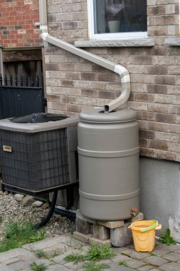 Bahçeyi, otları ve çiçek bahçesini sulamak için yağmur suyu toplamak için fıçı