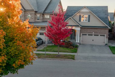 Yerleşim alanlarında sonbahar, akçaağaçlarını muhteşem renklere boyar.