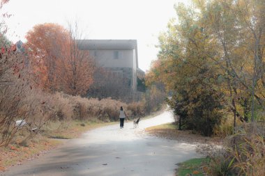 Sabahın erken saatlerinde, bir adam sessiz bir mahallede köpeğini gezdirir.