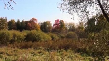 Sonbahar güneşi yavaşça ufka doğru eğilir, ama hala aydınlıktır.