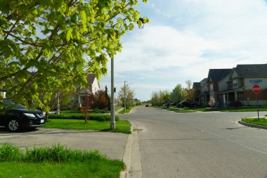 İlk ılık bahar günlerinde yeşil çimlerin ve çiçeklerin olduğu bir sokak.