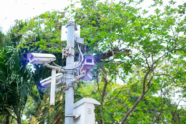 Selective focust to CCTV Camera and WIFI Device on metal pole with blurry tree background in public park for investigation and prevent criminal. Outdoor WIFI Internet Service.