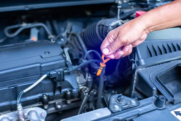 Check the oil level in car engine. Mechanic checking car engine or vehicle. Check and maintenance car with yourself. Service and maintenance vehicle.