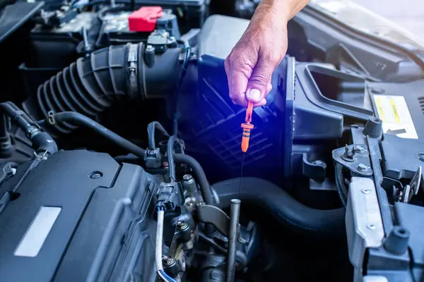 Check the oil level in car engine. Mechanic checking car engine or vehicle. Check and maintenance car with yourself. Service and maintenance vehicle.