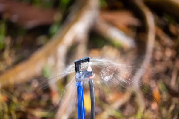 Blurry water from spray head in garden. Sprinkler head watering in agricultural plants. Irrigation system.