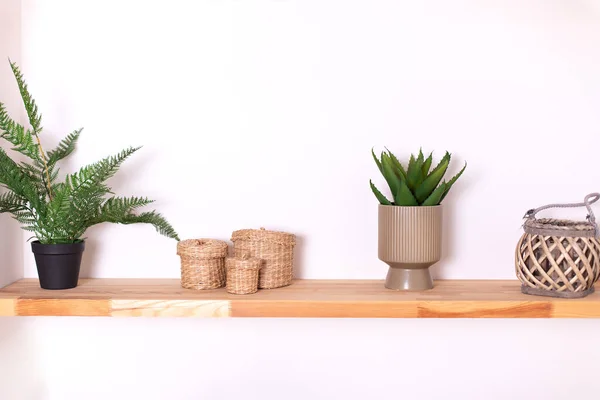 Wooden Shelves Elegant Decor Vase Green Houseplants Pots Basket White — Stock Photo, Image