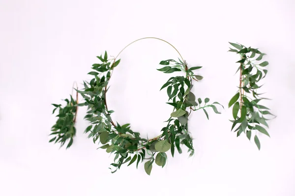Green wreath with leaves on white background. Wreath made of branches, copy space. Flowers composition. Boxwood wreath. Green olive wreath on white background. Floral round frame made of branches