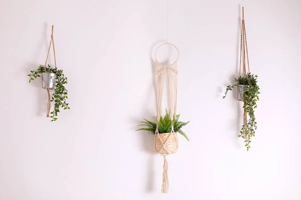 Three Handmade Cotton Macrame Plant Hangers Hanging White Wall Pendants ロイヤリティフリーのストック写真