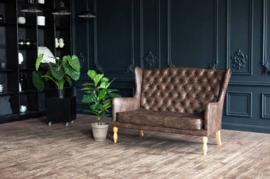Kanepe ve ahşap zemindeki saksıda büyük yeşil ev bitkileri. Geniş klasik stil odasında kanepe var. Zarif minimalist oturma odası. Eskimiş tarzda iç mekan. Kahverengi kanepe karanlık odada.. 