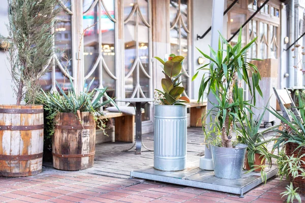 Cozy outdoor terrace with green plants and flowers. Green plants and flowers in wood barrels and pots. Outdoor terrace or street cafe, bar or restaurant decorated with green plant pots with plants.