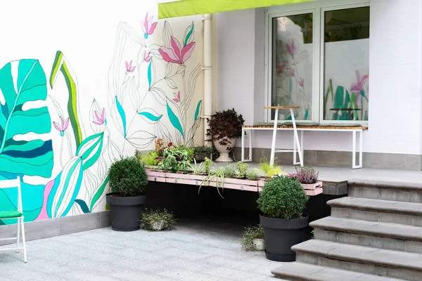 Groene Planten Pot Veranda Bij Winkel Bloemen Tuinieren Thuis Concept — Stockfoto