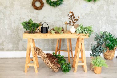 İç işlerinden bir çiçekçi. Çiçek saksılarında yeşil bitkilerin olduğu ahşap masa, sulama tenekesi, gri bir duvarın arka planında çiçekler. Yazın kırsal tarzda oturma odası. Çiçekçi.. 