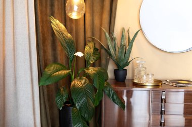 Dekoratif unsurlarla birlikte giyinme masası. Modern iç tasarımı, ahşap dolabı, dairesel aynası, saksılarda çiçekleri ve tavan arası lambaları olan bir ev. Eski dolap.