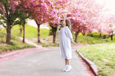 Sakura bahçesindeki çiçek açan ağaçta beyaz elbiseli, gülümseyen genç kız. Kadın güzelliği ve doğa konsepti. Çiçekli bahar parkında yürüyen beyaz elbiseli güzel bir kızın portresi.. 