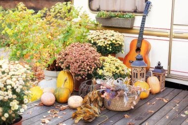 Çimenli sepetler. Hasır vazoda kurumuş çiçekler, kulaklar ve çiviler. Sonbahar desenli dış sundurma evi. Sonbahar çiçekleri, kasımpatı saksıları ve balkabaklarıyla iç bahçe. Cadılar Bayramı. 
