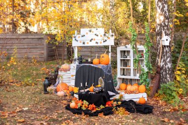 Balkabakları, yarasalar, örümcekler, örümcek ağları ve cadı kazanı ile süslenmiş, iksir ve cadı ayini için farklı sihirli özelliklerle süslenmiş şenlik kompozisyonu. Cadılar Bayramı dekorasyonu açık hava evi.