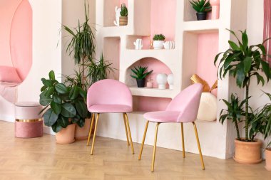 Oturma odasının görkemli kavramsal pembe iç mekanı. Terracotta kaplarında yeşil fitil elastica bitkileri. Wabi Sabi 'nin modern kompozisyonu. Ev dekorasyonu ve pembe sandalyeli kemer rafı.. 