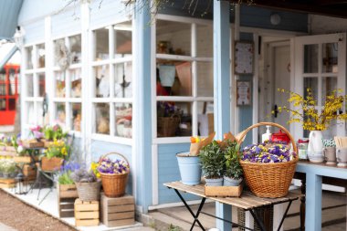 İç tasarım Showcase Caddesi çiçek pazarı bitkilerle dolu. Tencere ve bahçe aletlerinde satılık defne masası. Bahçe mobilyalarıyla Ozlu Kafe 'nin önünde. Ev bitkileri hobisi