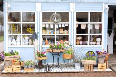 Çiçek ve bitkilerle dolu bir vitrin. Evde bahar dekorasyonu var. Rahatlamak için verandada masa ve sandalye. Bahçe mobilyalarıyla birlikte Ozlu ev cephesi. Terastaki saksılarda sümbüllü çiftlik evi.