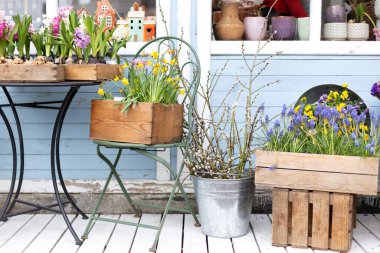 Ev ya da bahçe için çiçekler ve bitkiler. Sokak pazarında satılık sepetlerde çeşitli buketler. Terastaki saksılarda sümbüller. Evdeki iç dekorasyon. Rahatlamak için verandada masa ve sandalye.