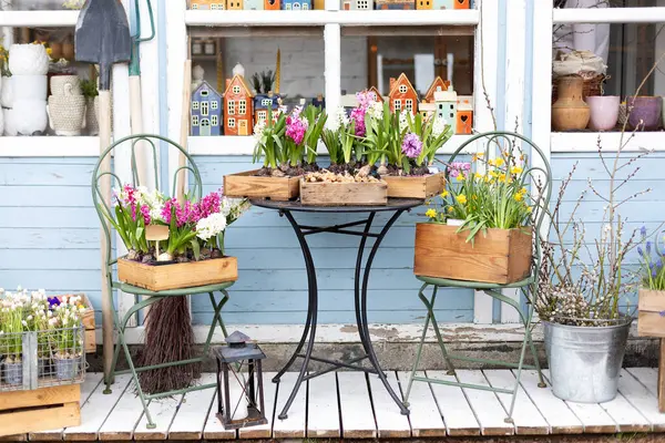 Çiçekler ve bitkilerle iç pazarın dışında. Evde bahar dekorasyonu var. Rahatlamak için verandada masa ve sandalye. Bahçe mobilyalarıyla birlikte Ozlu ev cephesi. Terastaki saksılarda sümbüllü çiftlik evi.