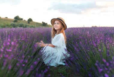 Portre sevimli kız lavanta çalılarının ortasında oturuyor. Provence. Hasır şapkalı güzel bir genç kız ve beyaz bir elbise lavanta tarlasında lavanta topluyor.. 