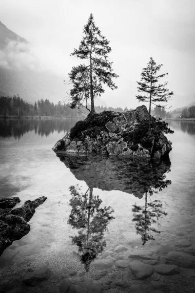 Деревья Скальном Острове Озере Озеро Озеро Бавария Германия — стоковое фото