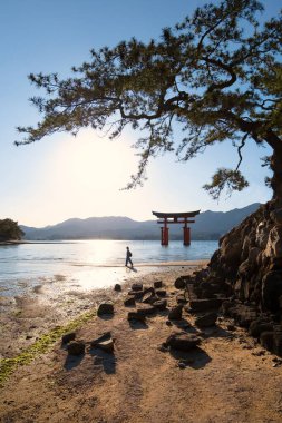 Hiroşima Miyajima 'daki Itsukushima Tapınağı' nın yüzen Torii kapısı..