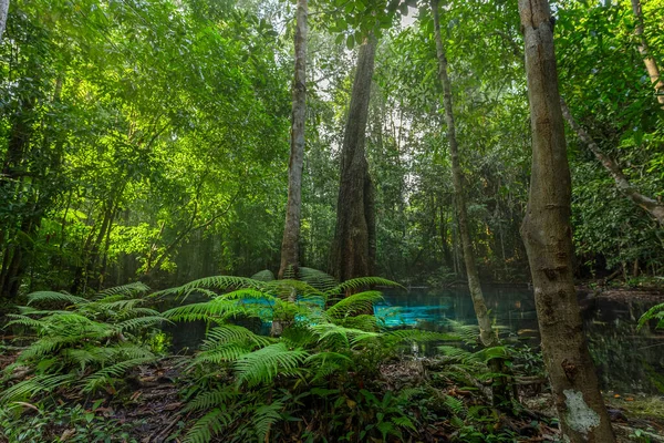 Blue Pool Est Une Source Cristalline Turquoise Milieu Une Forêt — Photo