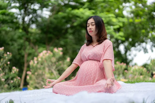 亚洲孕妇在公园冥想放松的肖像 免版税图库图片