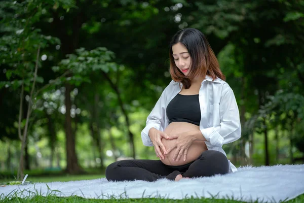 Retrato Mujer Embarazada Asiática Relajándose Posando Con Las Manos Forma Fotos De Stock
