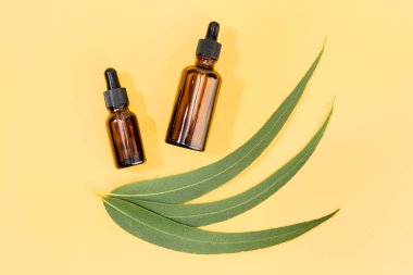 Ökaliptüs 'ün yassı yatağı temel yağdır. Renkli natürmort