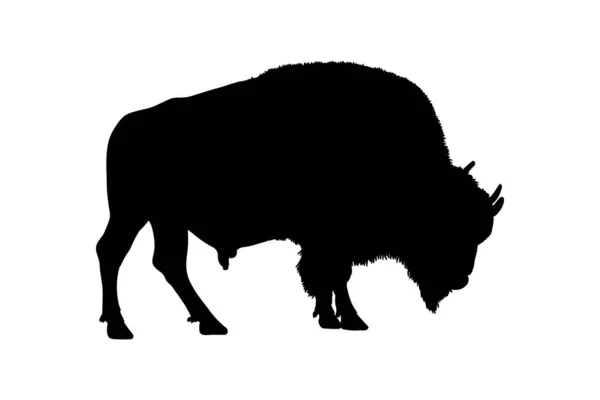 Silhueta Bisonte Isolada Sobre Fundo Branco Ilustração Vetorial — Vetor de Stock