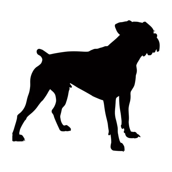 Boksör Köpeği Silueti Beyaz Arka Planda Izole Edilmiş Vektör Illüstrasyonu — Stok Vektör