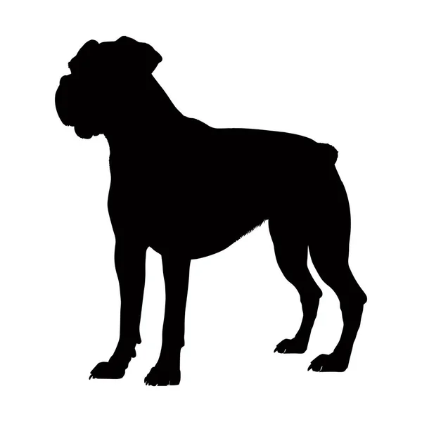 Boxer Dog Silhouette Isolated White Background Vector Illustration — Stock Vector