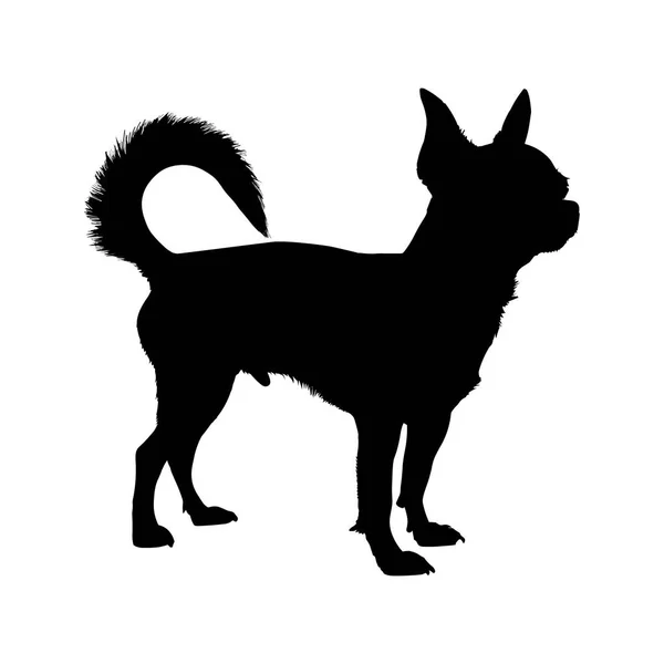 Chihuahua Silhueta Cão Isolado Fundo Branco Ilustração Vetorial — Vetor de Stock