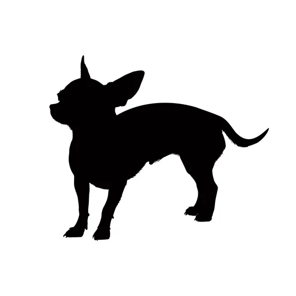 Sylwetka Psa Chihuahua Izolowana Białym Tle Ilustracja Wektora — Wektor stockowy