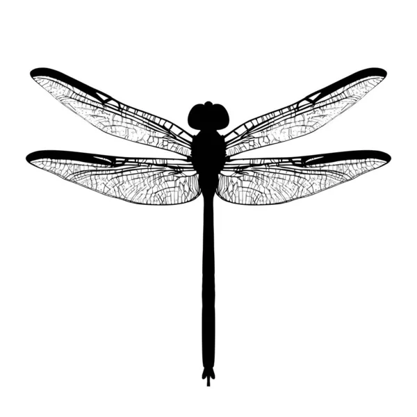 Dragonfly Silhouette Isolated White Background Vector Illustration — Stock Vector