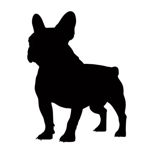 French Bull Dog Silhouette Isolated White Background Vector Illustration — Stock Vector