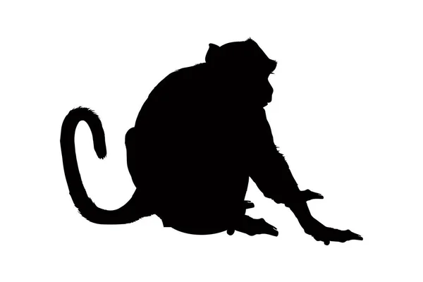 Sitzender Affe Silhouette Isoliert Auf Weißem Hintergrund Vektorillustration — Stockvektor