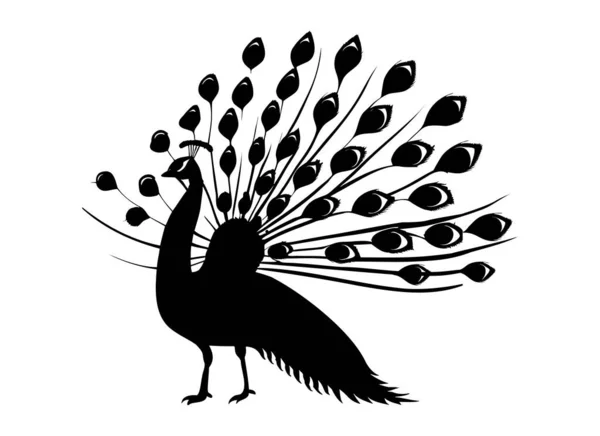 Peacock Sziluett Elszigetelt Fehér Alapon Vektorillusztráció — Stock Vector