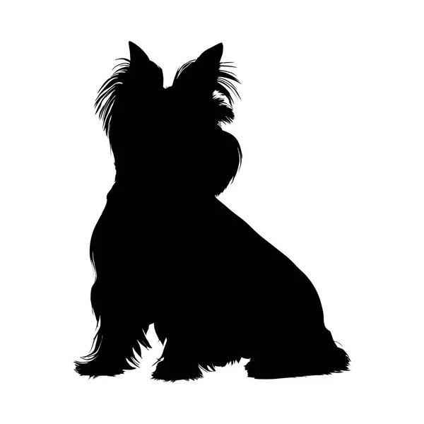 Sitzender West Highland Terrier Hund Silhouette Isoliert Auf Weißem Hintergrund — Stockvektor