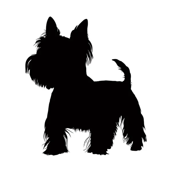 West Highland Terrier Dog Silhouette Isolated White Background Vector Illustration — Stock Vector